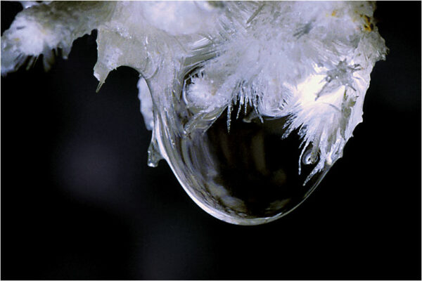 Goutte d'eau une photographie de Patrick Michel